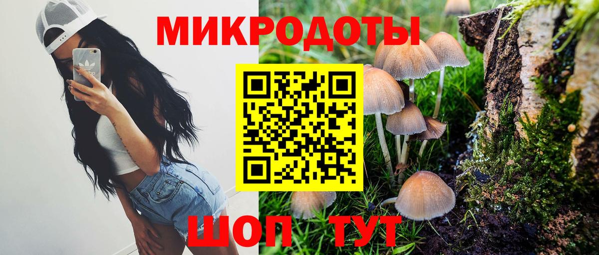 Псилоцибиновые грибы Psilocybine cubensis  Вход с VPN  Мценск  Псилоцибиновые грибы MAGIC MUSHROOMS 