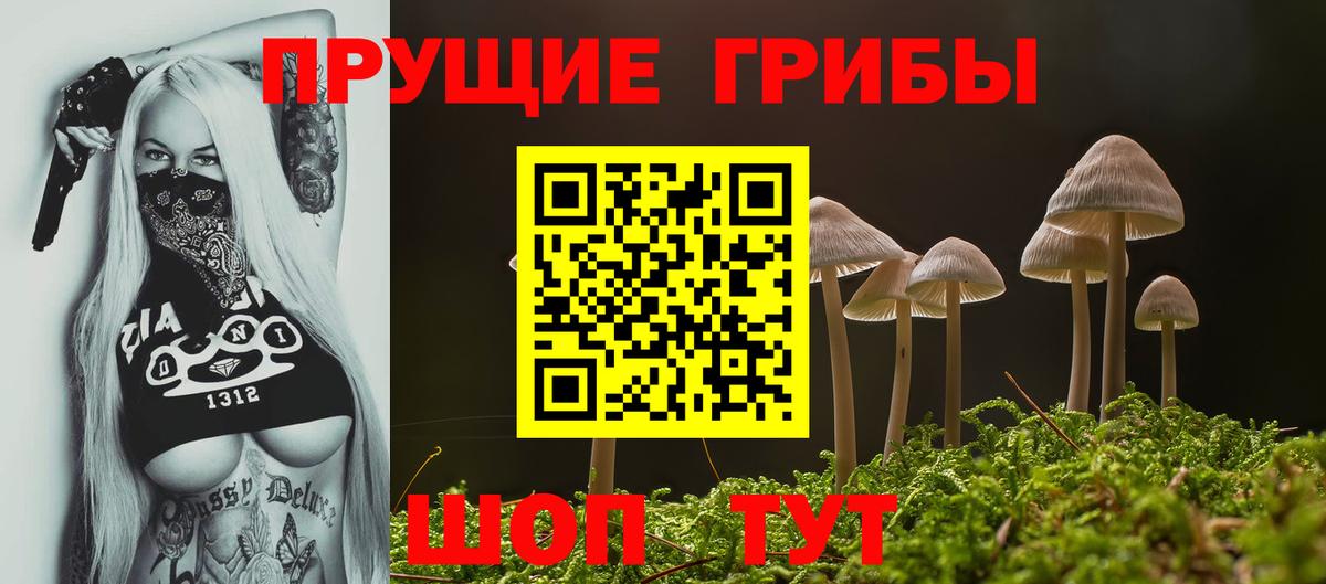 Псилоцибиновые грибы Psilocybe Мценск